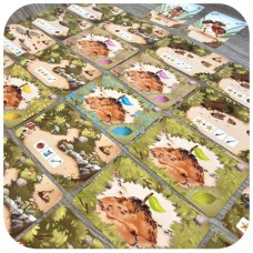 Antscape kaartspel - Jolly Dutch Antscape kaartspel - Jolly Dutch